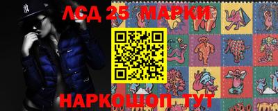 Альфа ПВП Малгобек