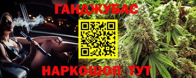 Альфа ПВП Малгобек
