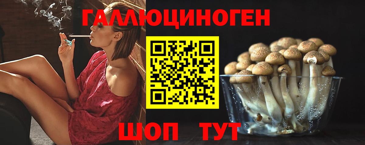 Удомля  Галлюциногенные грибы MAGIC MUSHROOMS  Галлюциногенные грибы Cubensis  Вход с VPN 